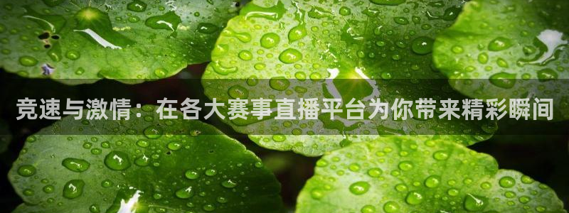 竞速与激情：在各大赛事直播平台为你带来精彩瞬间