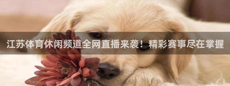 江苏体育休闲频道全网直播来袭！精彩赛事尽在掌握