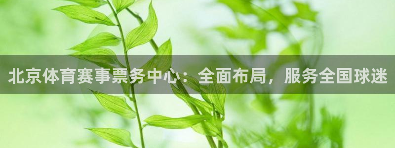 北京体育赛事票务中心：全面布局，服务全国球迷
