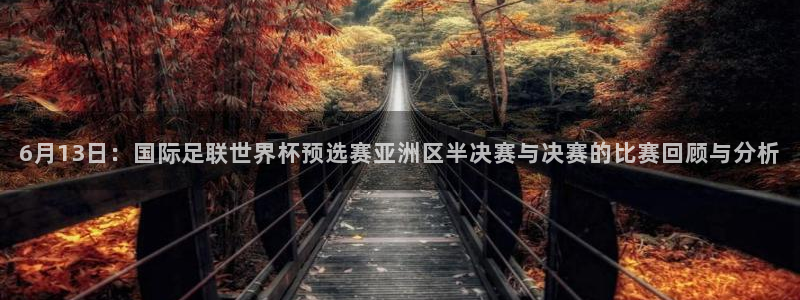 6月13日：国际足联世界杯预选赛亚洲区半决赛与决赛的比赛回顾与分析