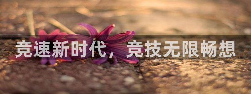 竞速新时代，竞技无限畅想