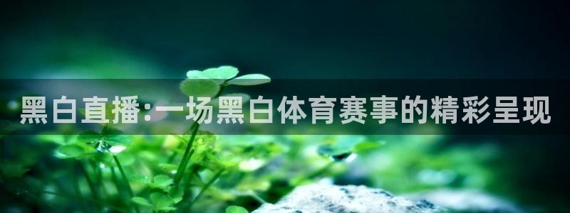 黑白直播:一场黑白体育赛事的精彩呈现