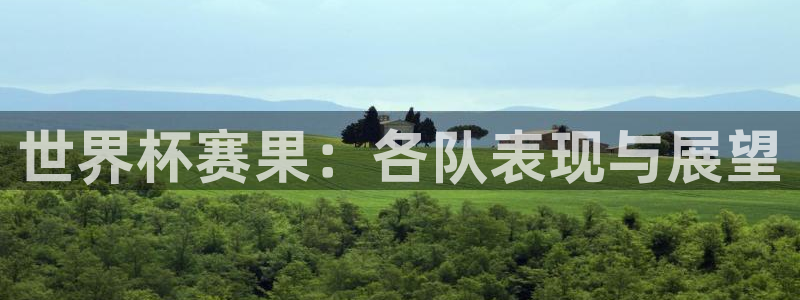 世界杯赛果：各队表现与展望