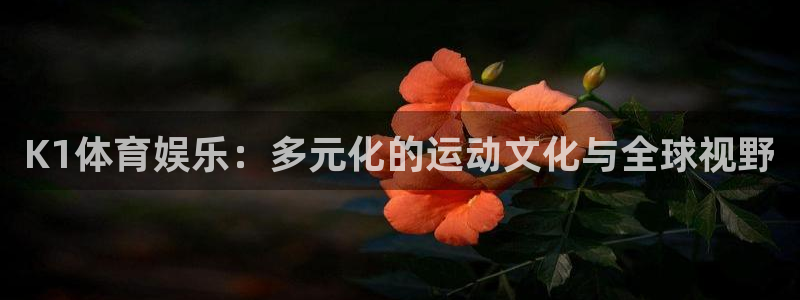 K1体育娱乐：多元化的运动文化与全球视野