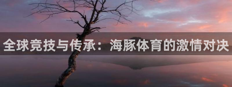 全球竞技与传承：海豚体育的激情对决